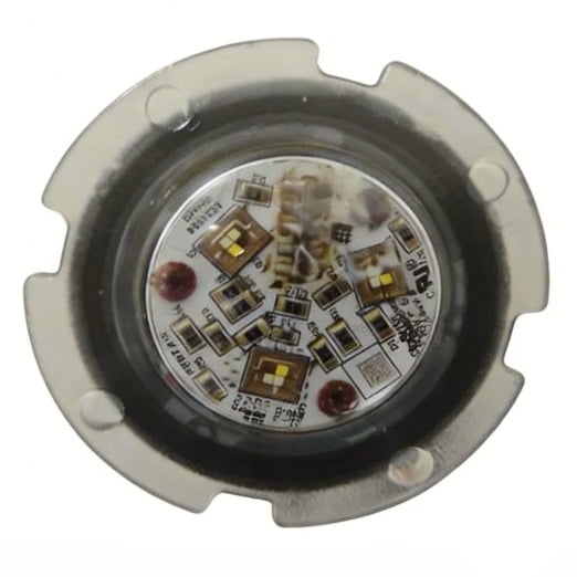GloBrite LED driver board showing corrosion damage